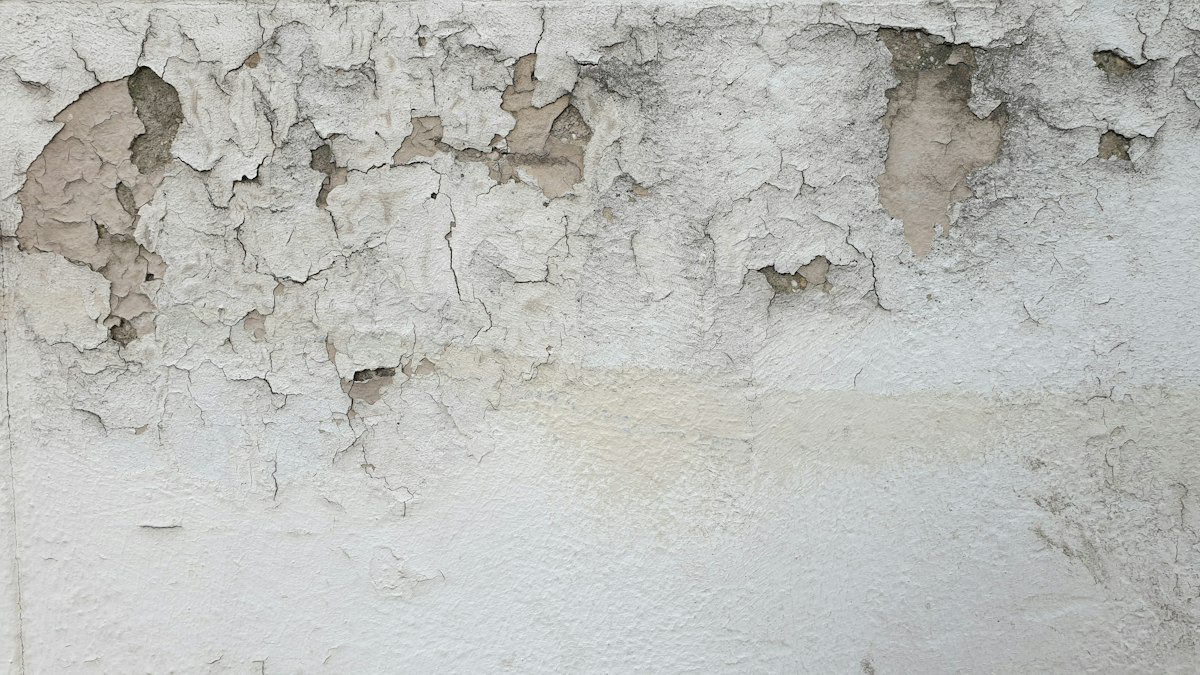 Humedad y pintura desconchada en una pared de una vivienda en León